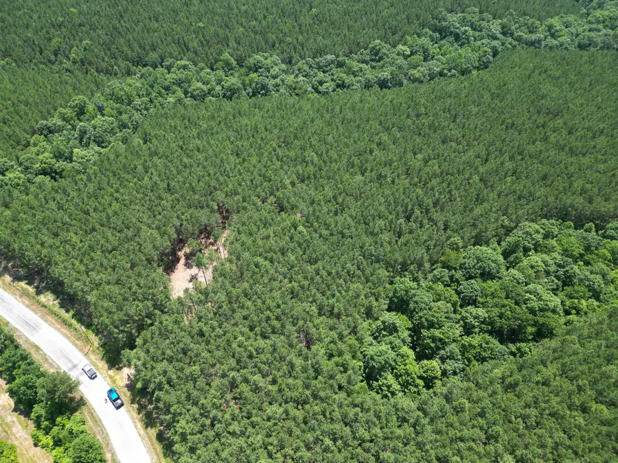 910 Seiber Ridge Rd, Hohenwald, TN 38462 - Image #2