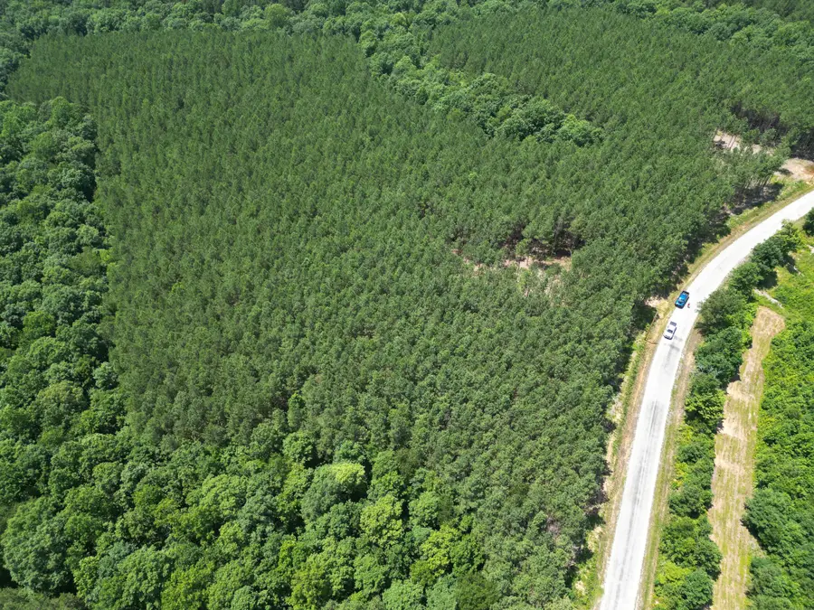 910 Seiber Ridge Rd, Hohenwald, TN 38462 - Image #3