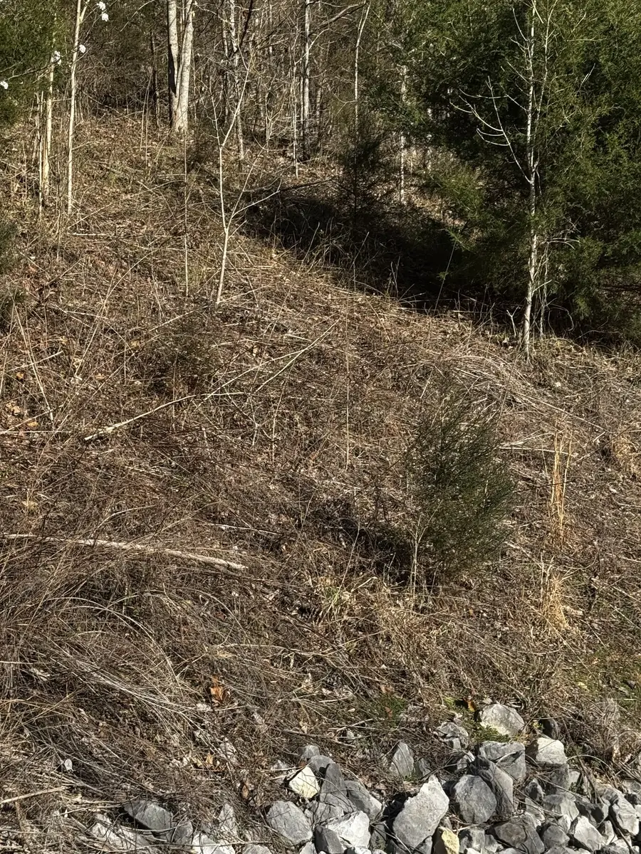 92 Shoreside Dr, Smithville, TN 37166 - #2