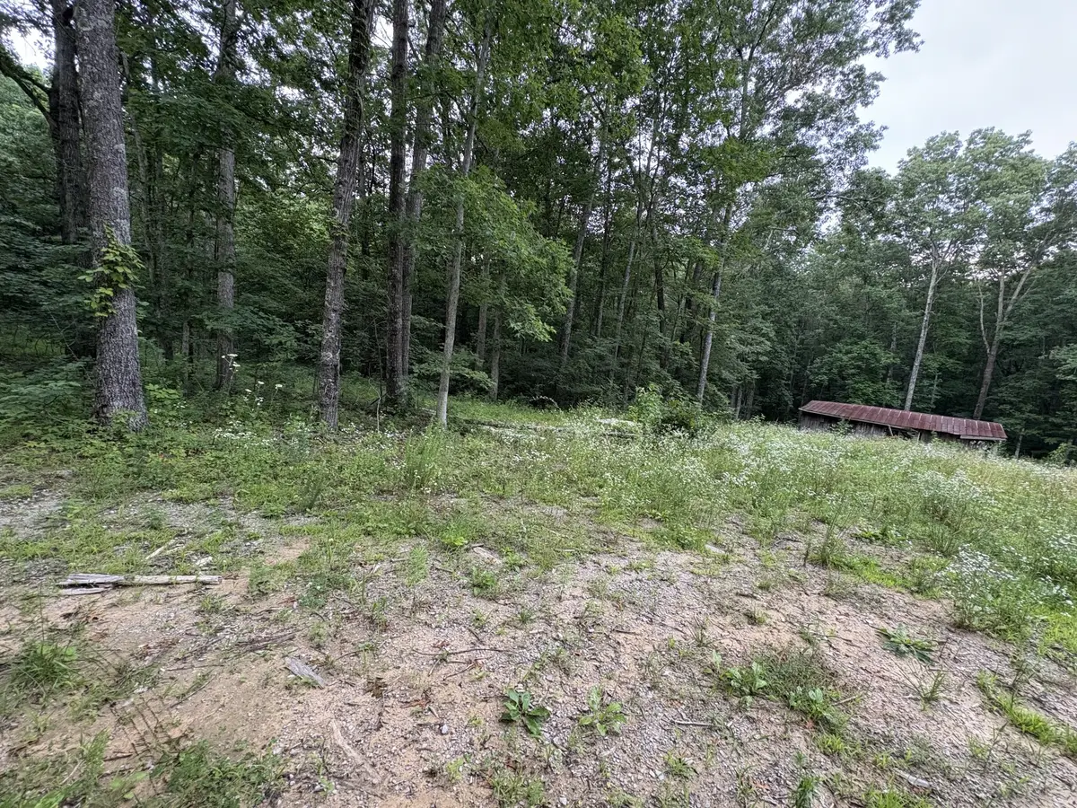 1117 Deer Run, Altamont, TN 37301 - Image #1