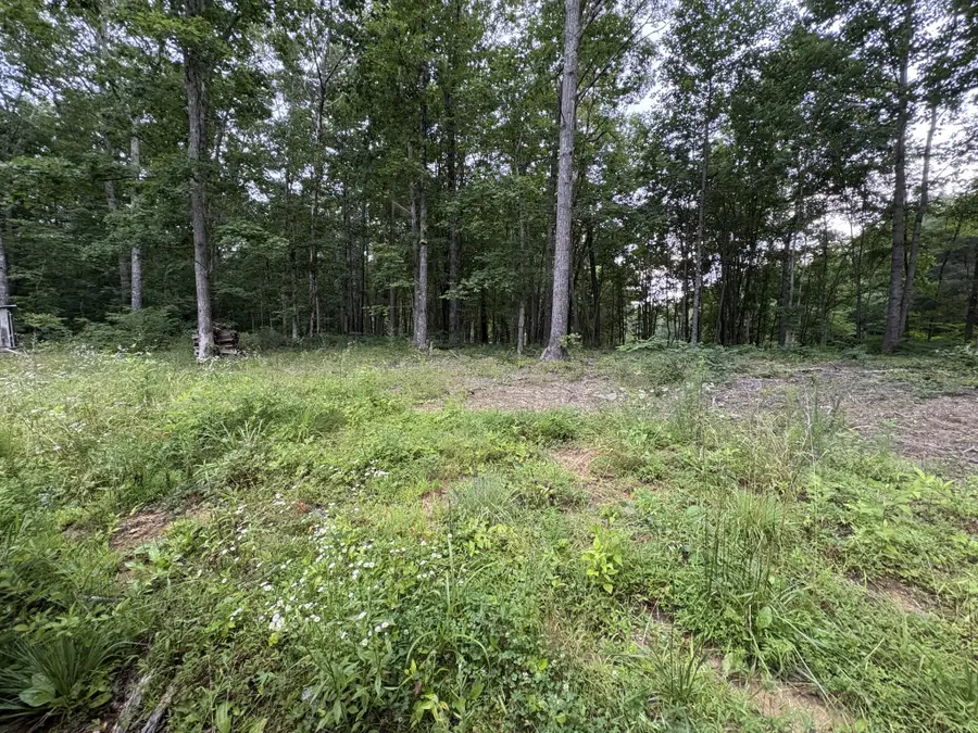 1117 Deer Run, Altamont, TN 37301 - Image #3