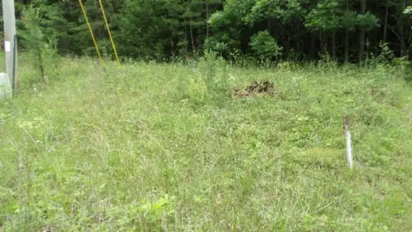 0 Parkstown Ext Rd, Wilder, TN 38589