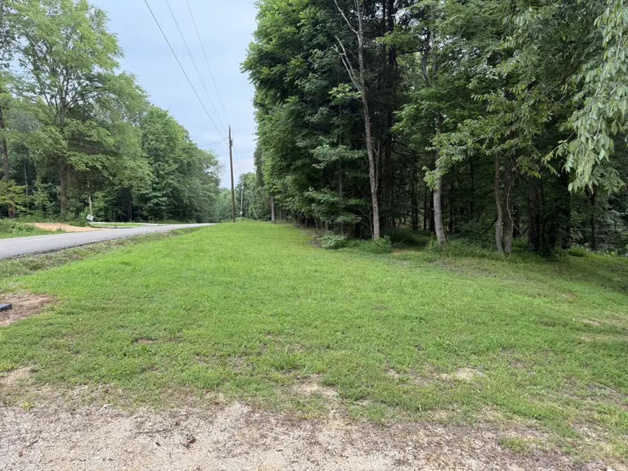 954 Stokes Ln, Bath Springs, TN 38311 - #3