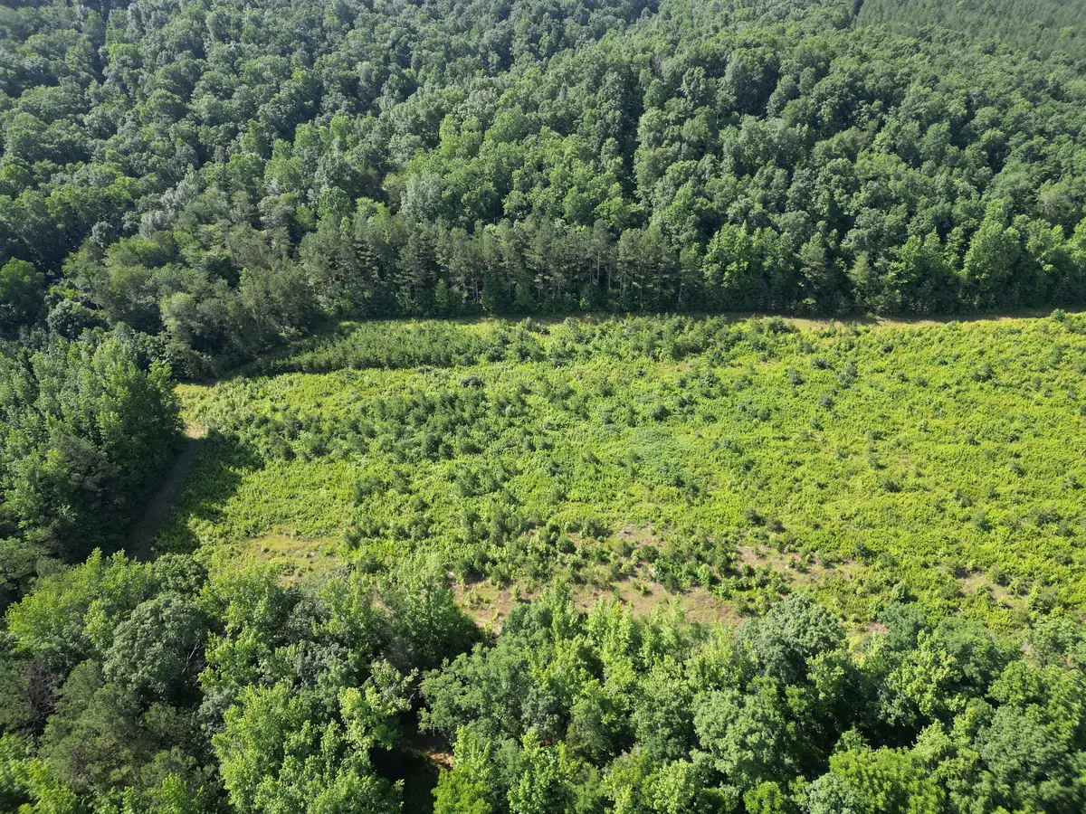 0 Brushy Road, Centerville, TN 37033 - Image #1