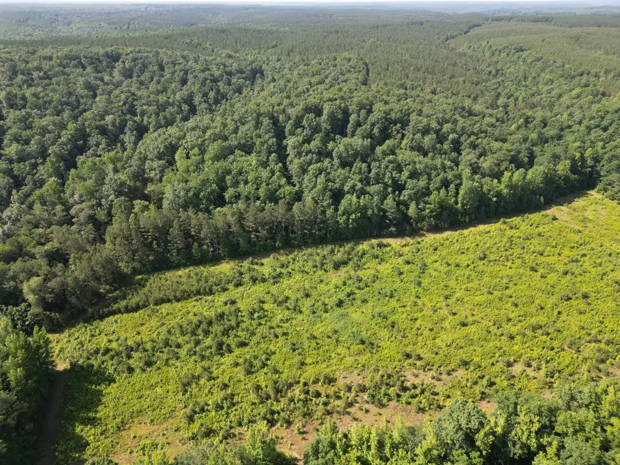 0 Brushy Road, Centerville, TN 37033 - Image #3