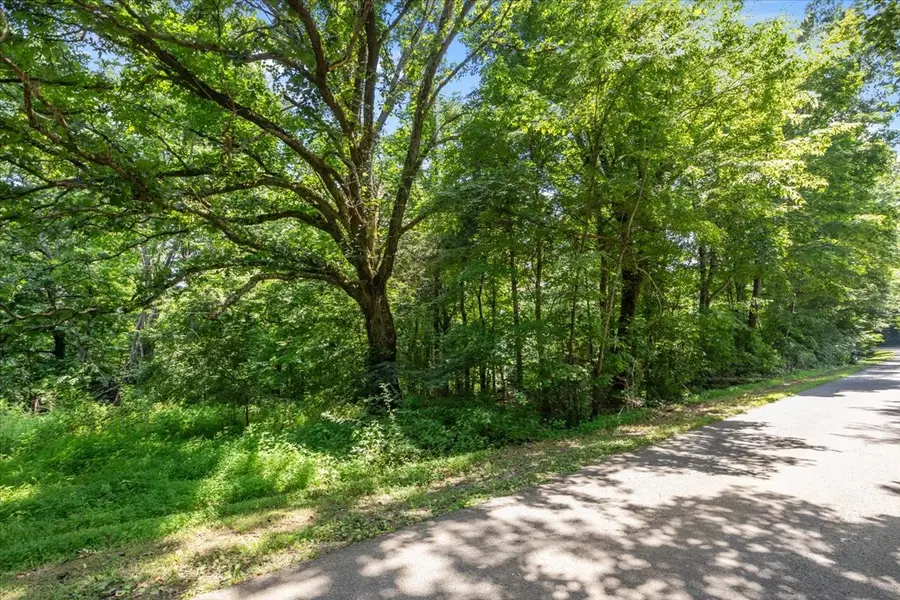 0 Hunley Branch Rd, Charlotte, TN 37036 - Image #3