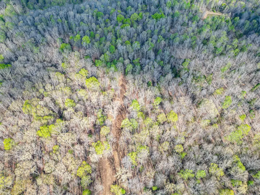 0 Pinewood Rd, Nunnelly, TN 37137 - Image #2