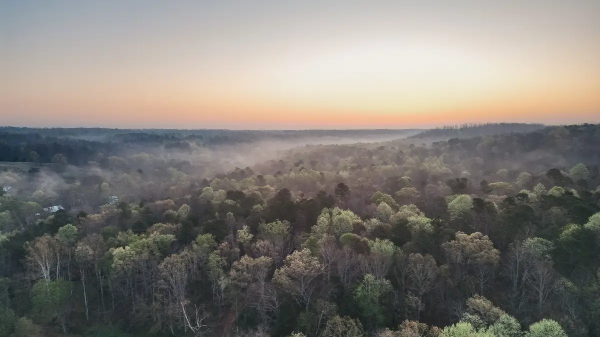 0 Pinewood Rd, Nunnelly, TN 37137 - Image #1