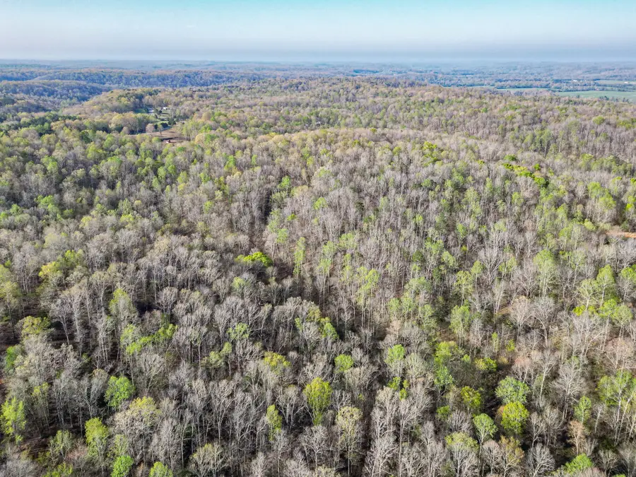 0 Pinewood Rd, Nunnelly, TN 37137 - Image #2