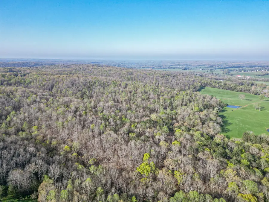 0 Pinewood Rd, Nunnelly, TN 37137 - Image #3