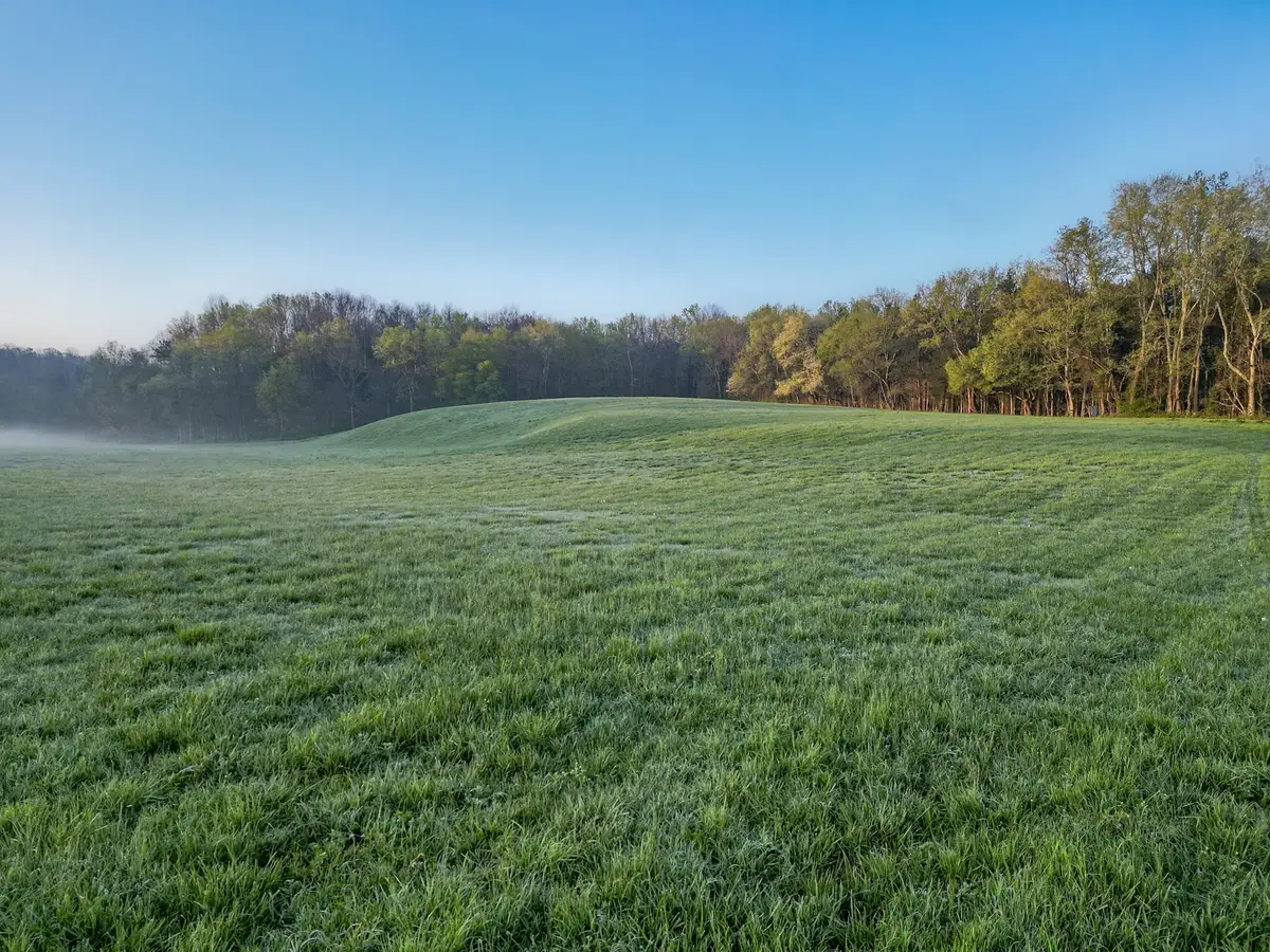 0 Pinewood Rd, Nunnelly, TN 37137 - Image #1