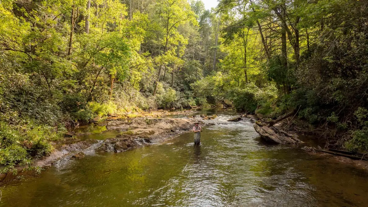 748 Damascus Church Road, Dahlonega, GA 30533 - Image #1