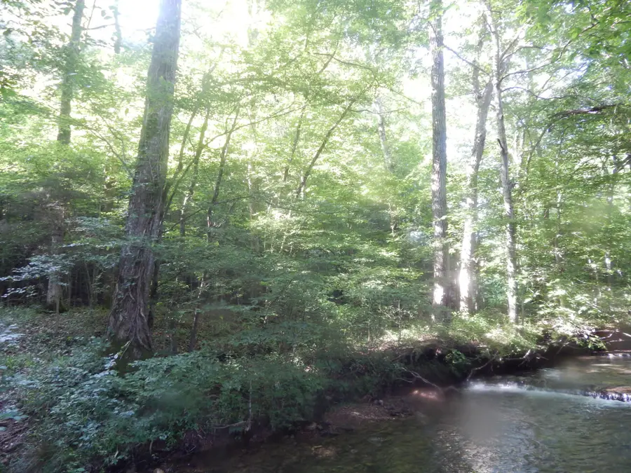 3795 Wayland Springs Rd, Iron City, TN 38463 - Image #3