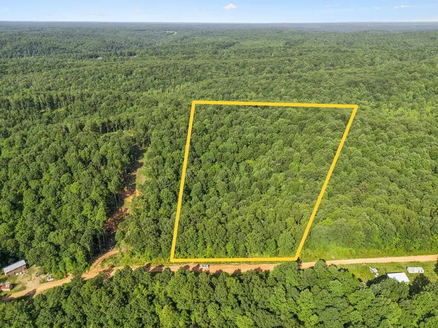 220 Ellies Run, Mount Pleasant, TN 38474 - Image #2