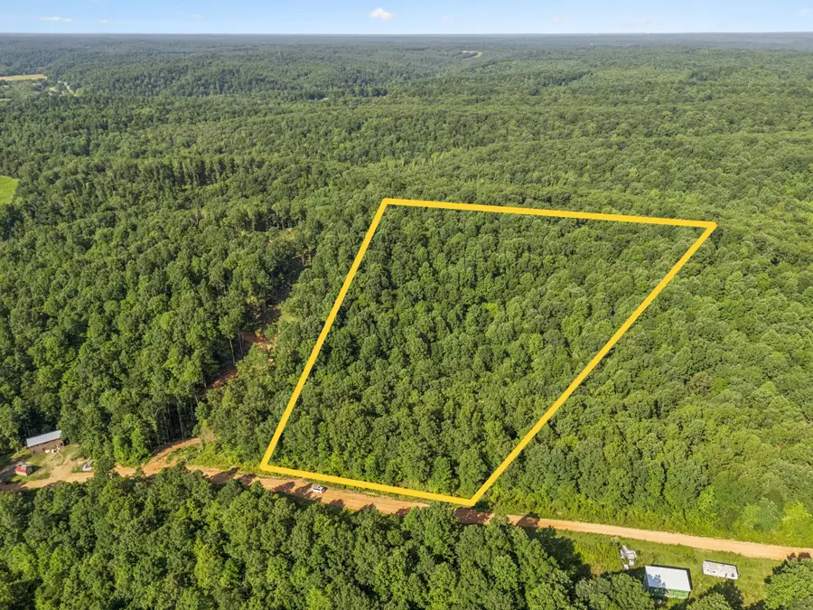 220 Ellies Run, Mount Pleasant, TN 38474 - Image #3