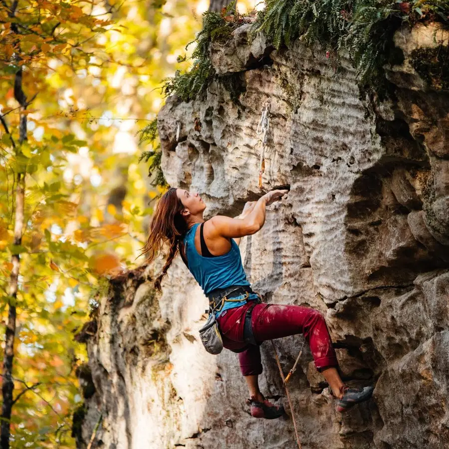 0 Worley Road, Soddy Daisy, TN 37379 - Image #2