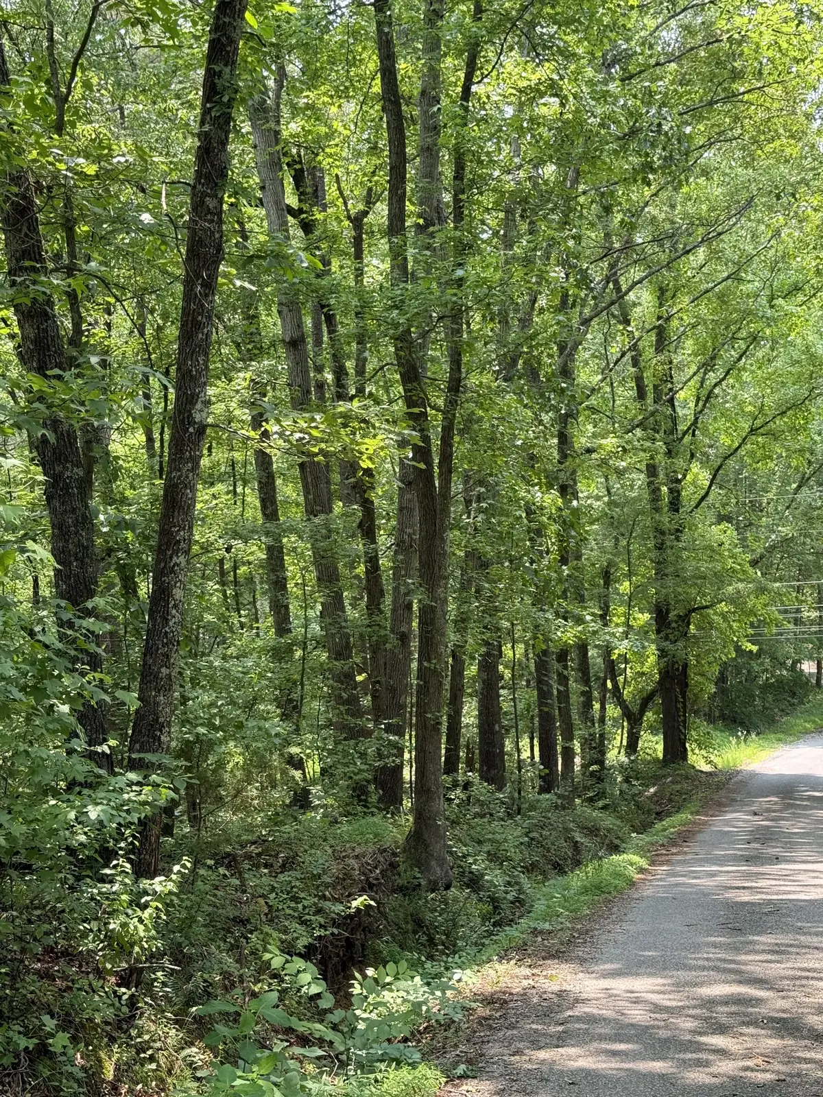 0 Webb Rd Ext, Summertown, TN 38483 - Image #1