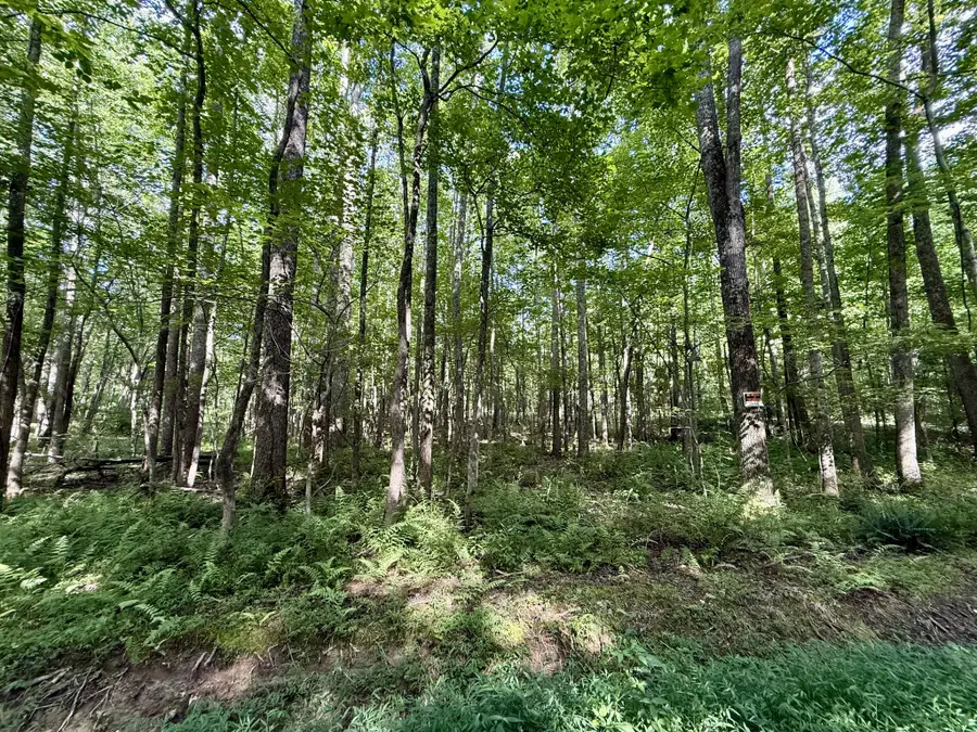 0 Webb Rd Ext, Summertown, TN 38483 - Image #2