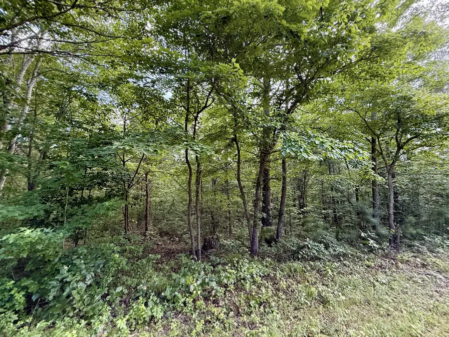 0 Webb Rd Ext, Summertown, TN 38483 - Image #3