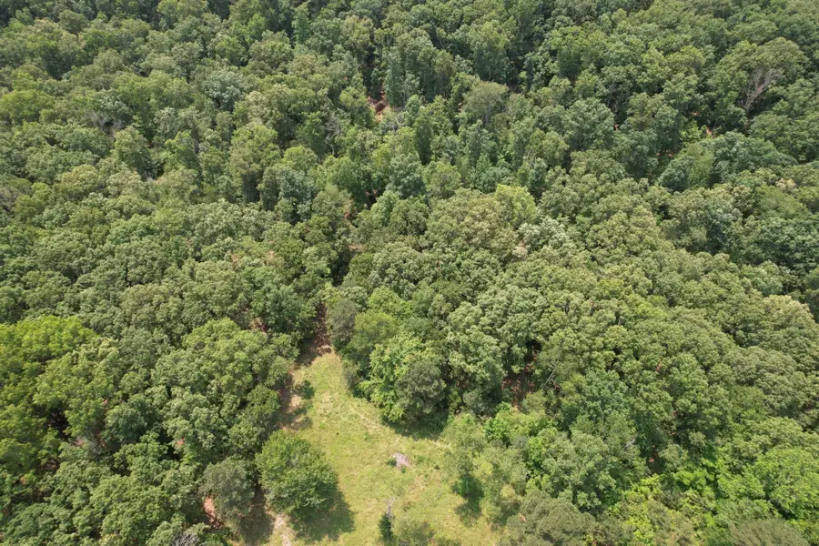 0 Webb Rd Ext, Summertown, TN 38483 - Image #3