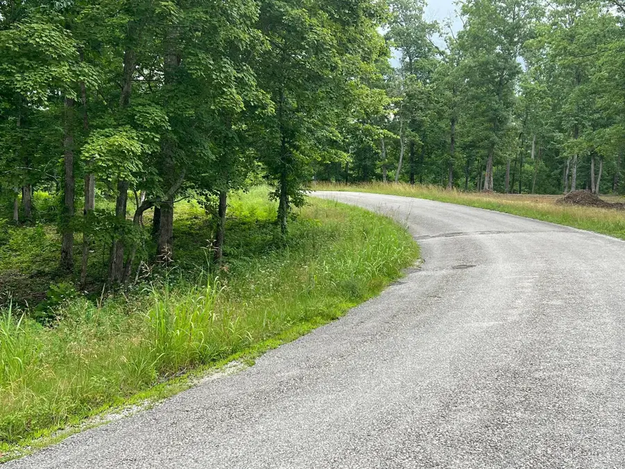 0 Slaughter Rd, Primm Springs, TN 38476 - Image #2