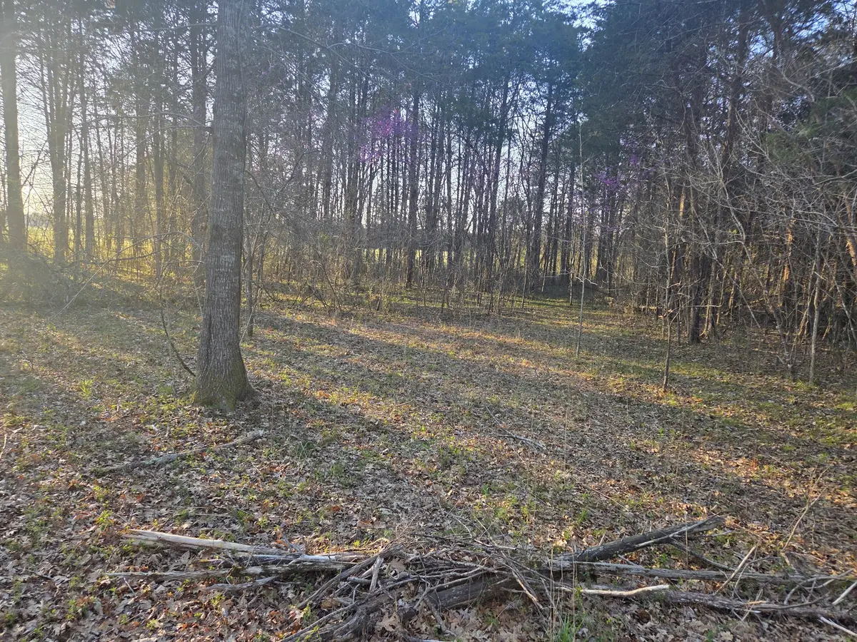 0 Simpson Ln, Columbia, TN 38401 - #1