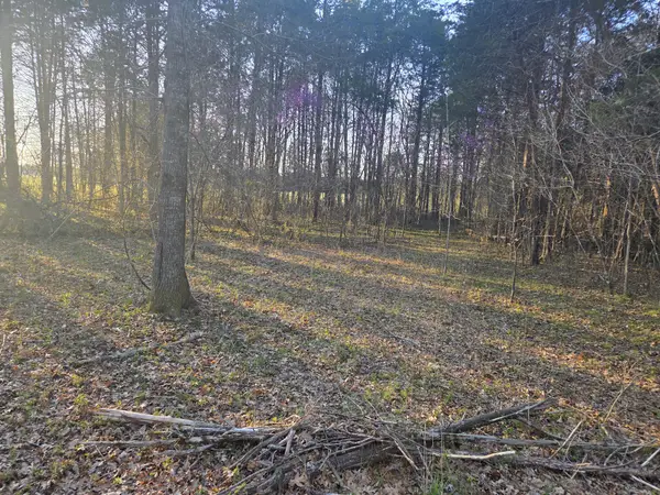 0 Simpson Ln, Columbia, TN 38401