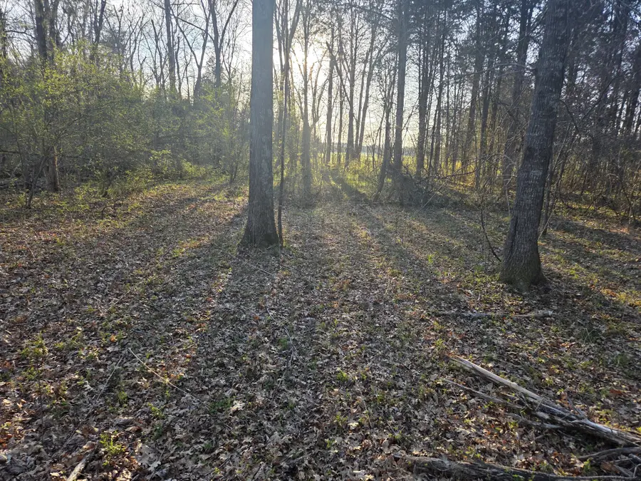 0 Simpson Ln, Columbia, TN 38401 - #2