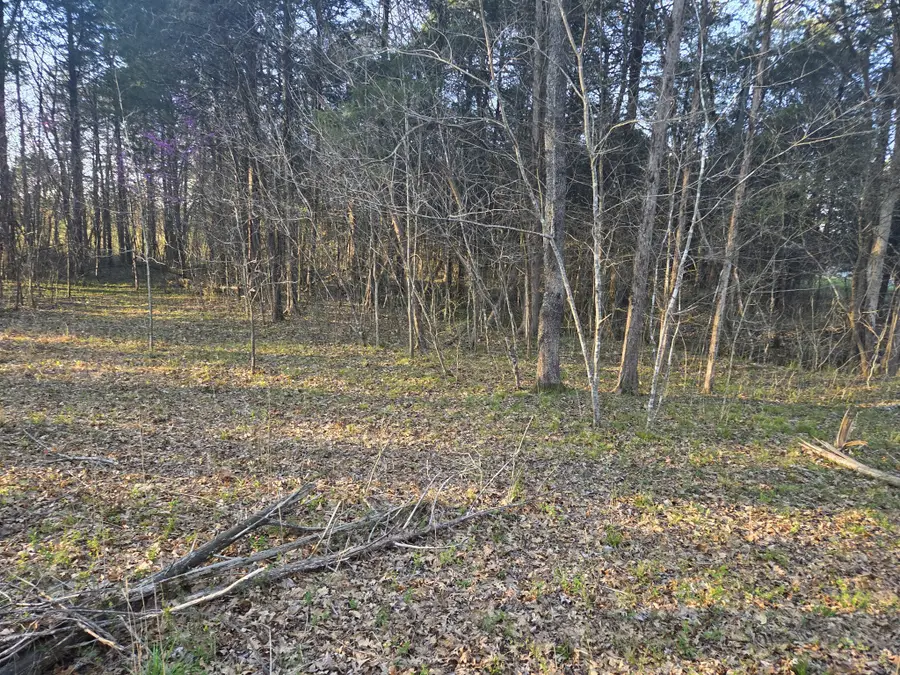 0 Simpson Ln, Columbia, TN 38401 - #3