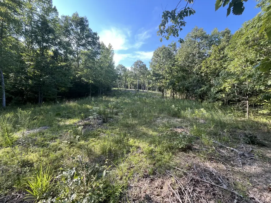 481 Hillbrook Dr, Linden, TN 37096 - Image #3