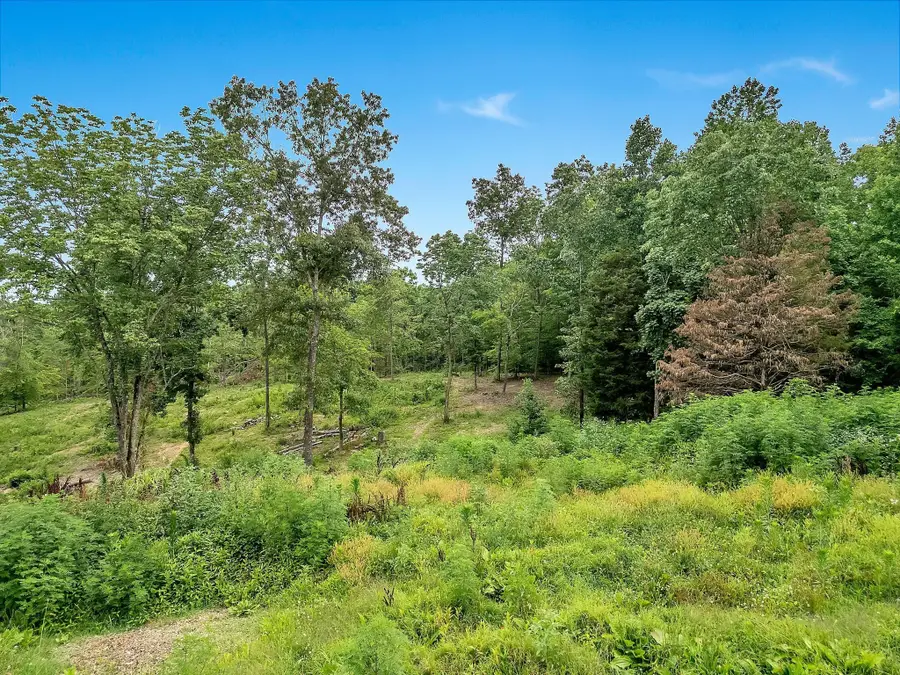 0 Red Oak Road, Charlotte, TN 37036 - Image #3