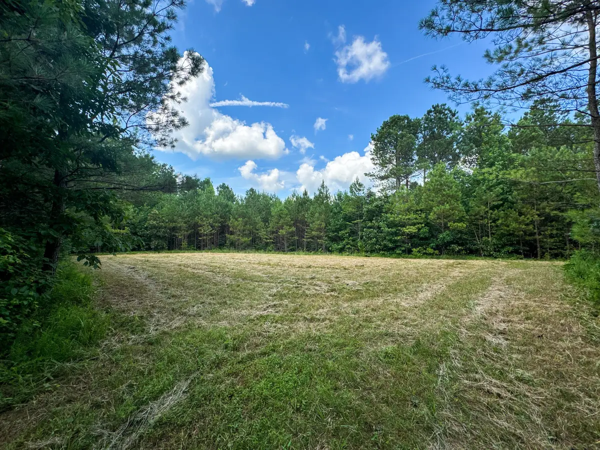 0 Guys Chewalla Rd, Ramer, TN 38367 - #1