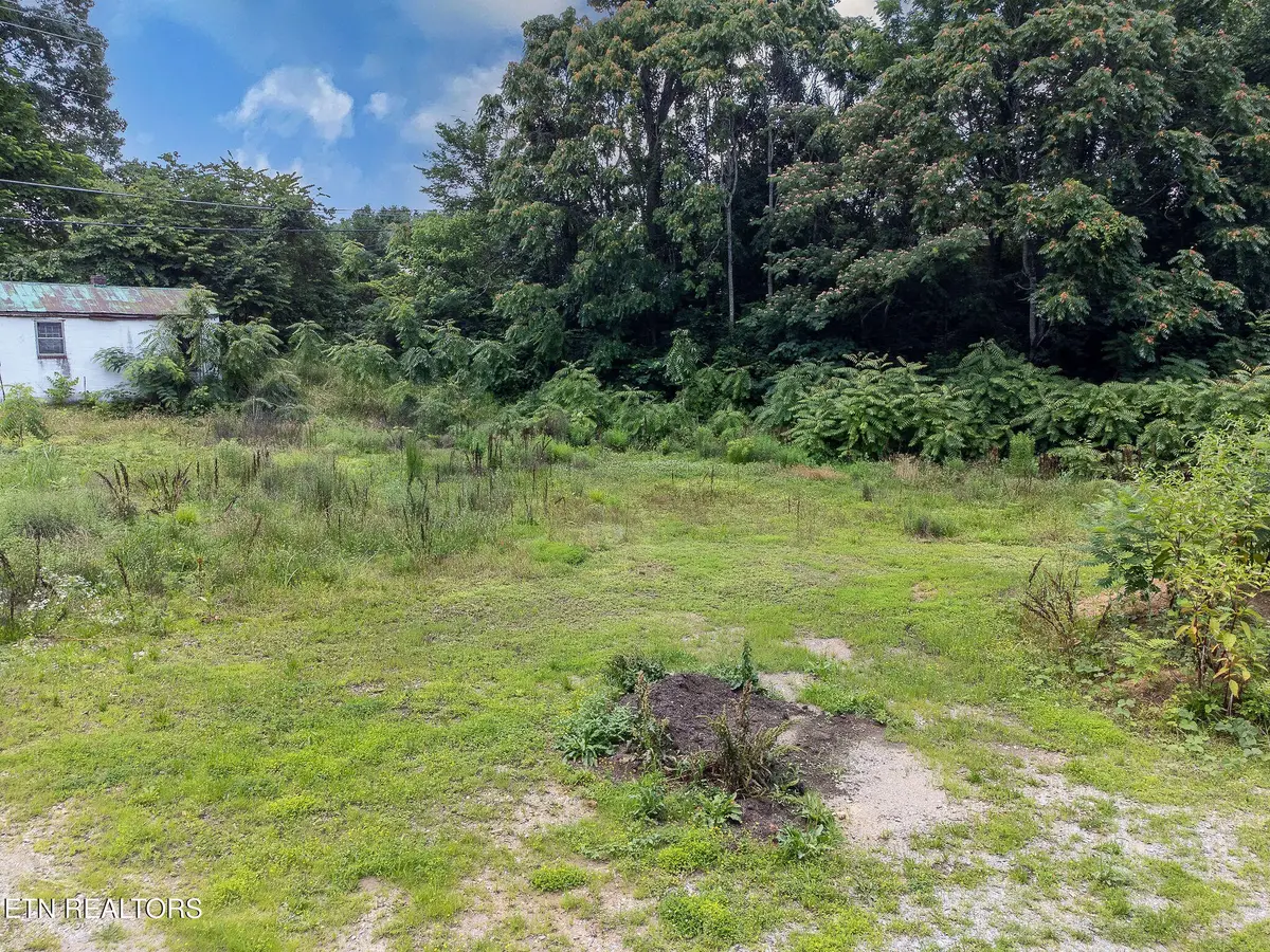 8158 Bell Campground Rd, Powell, TN 37849 - #1