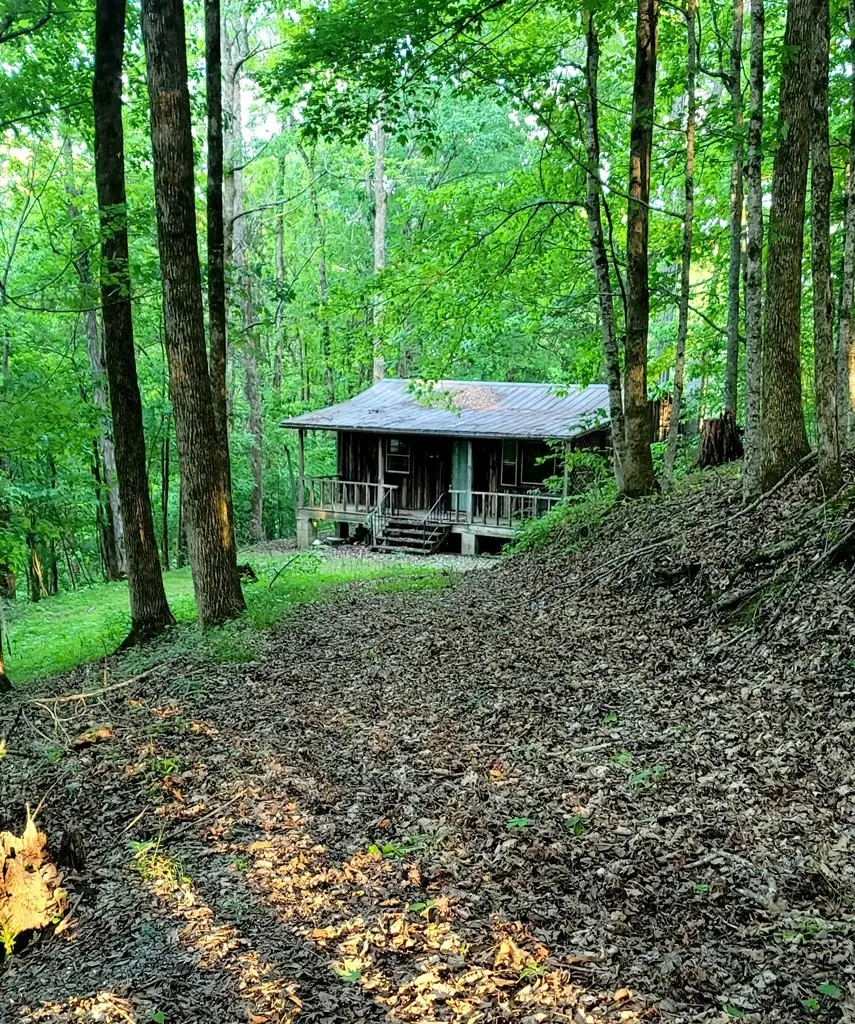 329 Hilltop Ln, Gainesboro, TN 38562 - #1