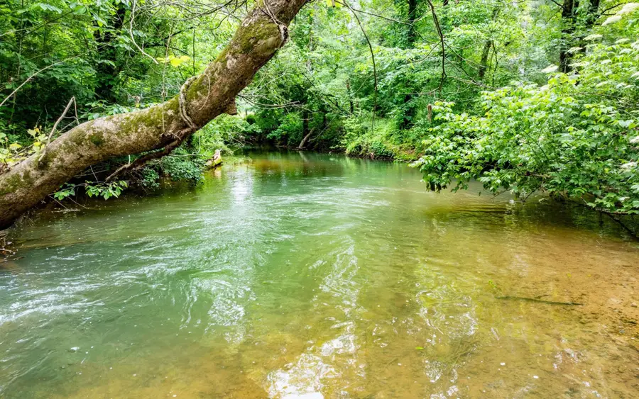 0 Pine Hill Road Se, Rydal, GA 30171 - Image #3