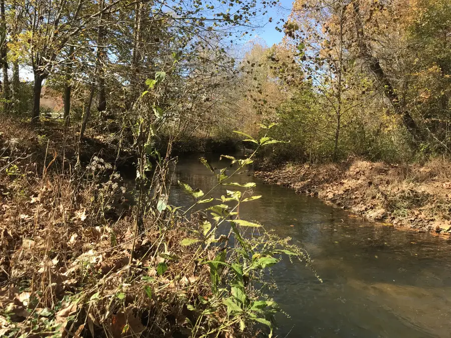 0 Old Weatherford Creek Rd, Lutts, TN 38471 - #2