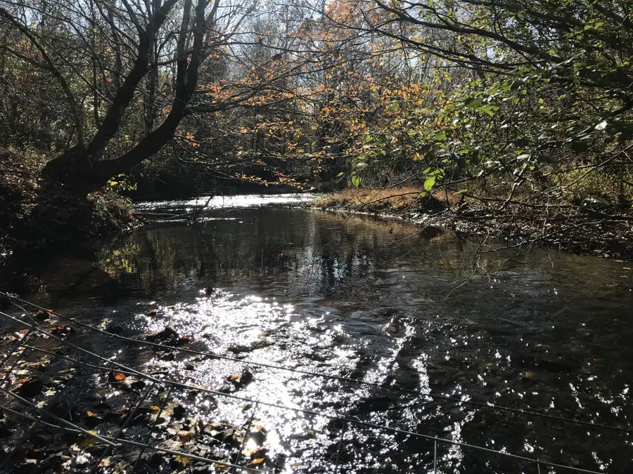 0 Old Weatherford Creek Rd, Lutts, TN 38471 - #3