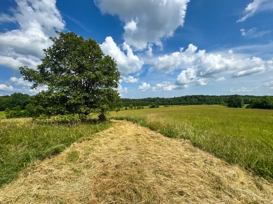 4791 Guys Chewalla Rd, Ramer, TN 38367 - #3