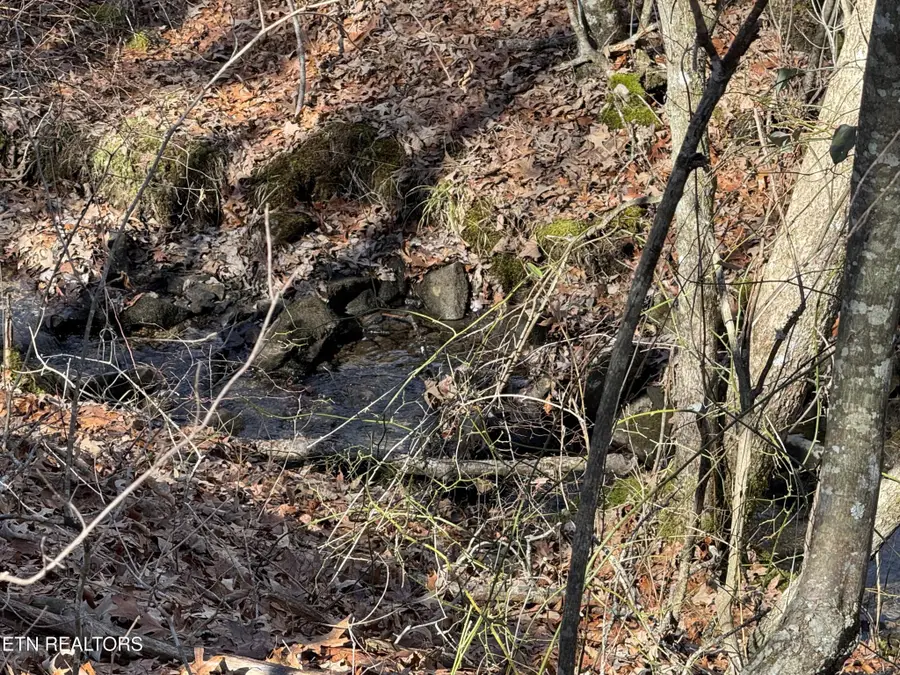 38 Crystal Point, Monterey, TN 38574 - Image #3