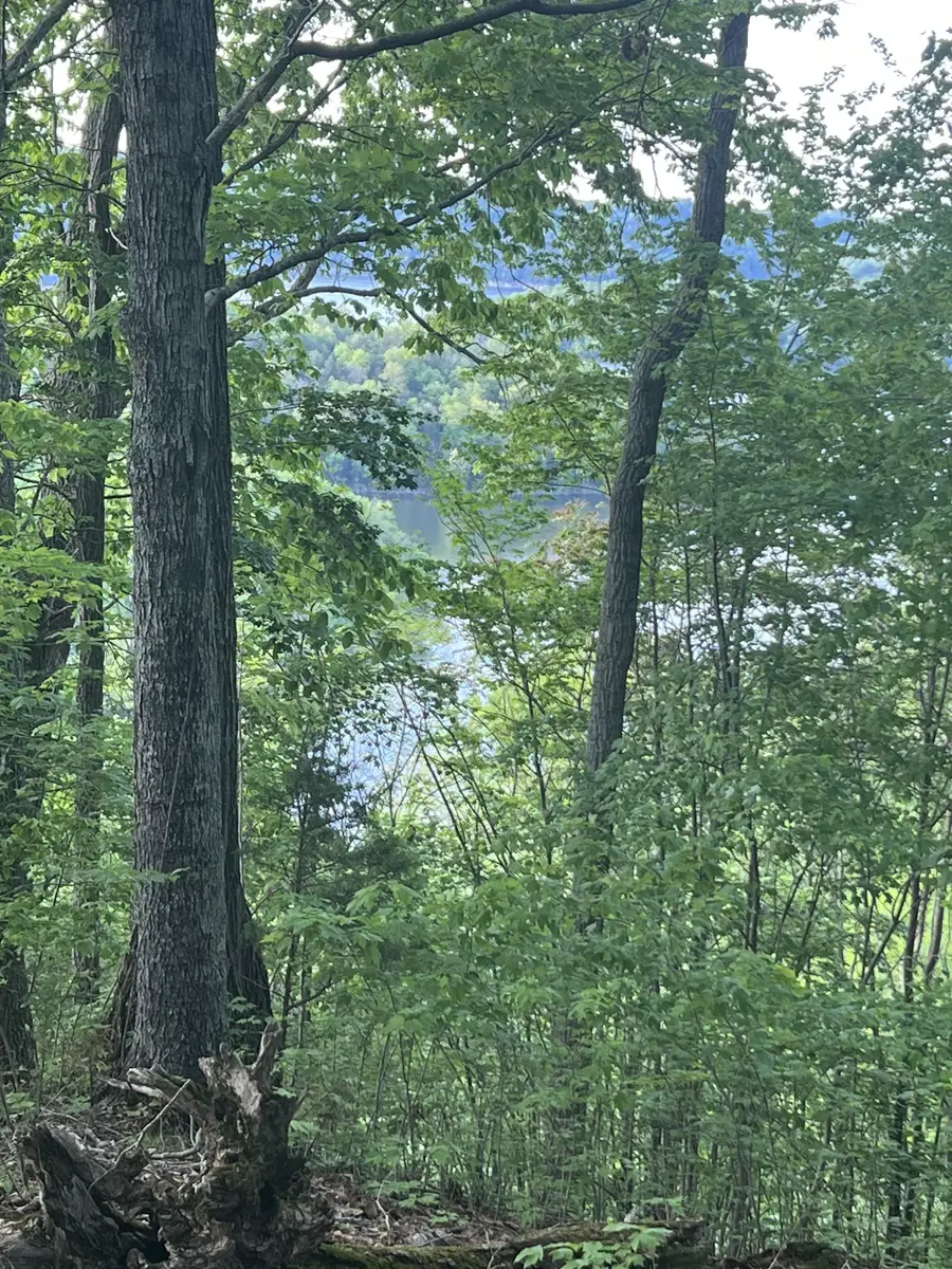 0 Williamson Circle, Smithville, TN 37166 - #3