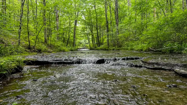 0 Catheys Creek Road, Hampshire, TN 38461