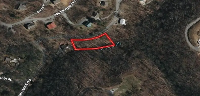 0 Twin Oaks Rd, Gatlinburg, TN 37738 - Image #3