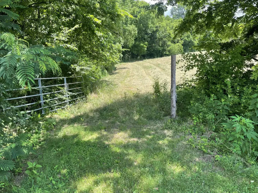 0 Agnew Rd, Pulaski, TN 38478 - Image #2