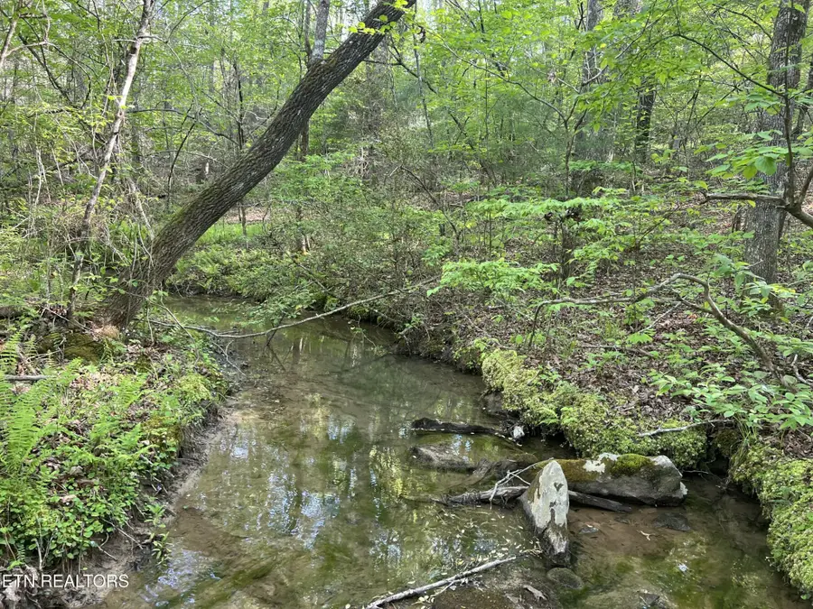 658 Peavine Firetower Rd, Crossville, TN 38571 - Image #3