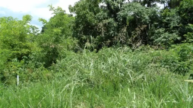 4 F Trout Lane, Hilham, TN 38568 - Image #1