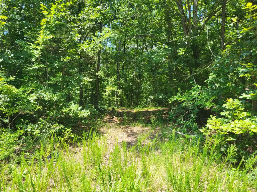 8 Birdsong Rd, Holladay, TN 38341 - #2