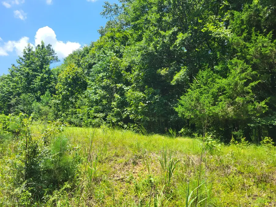 8 Birdsong Rd, Holladay, TN 38341 - #3