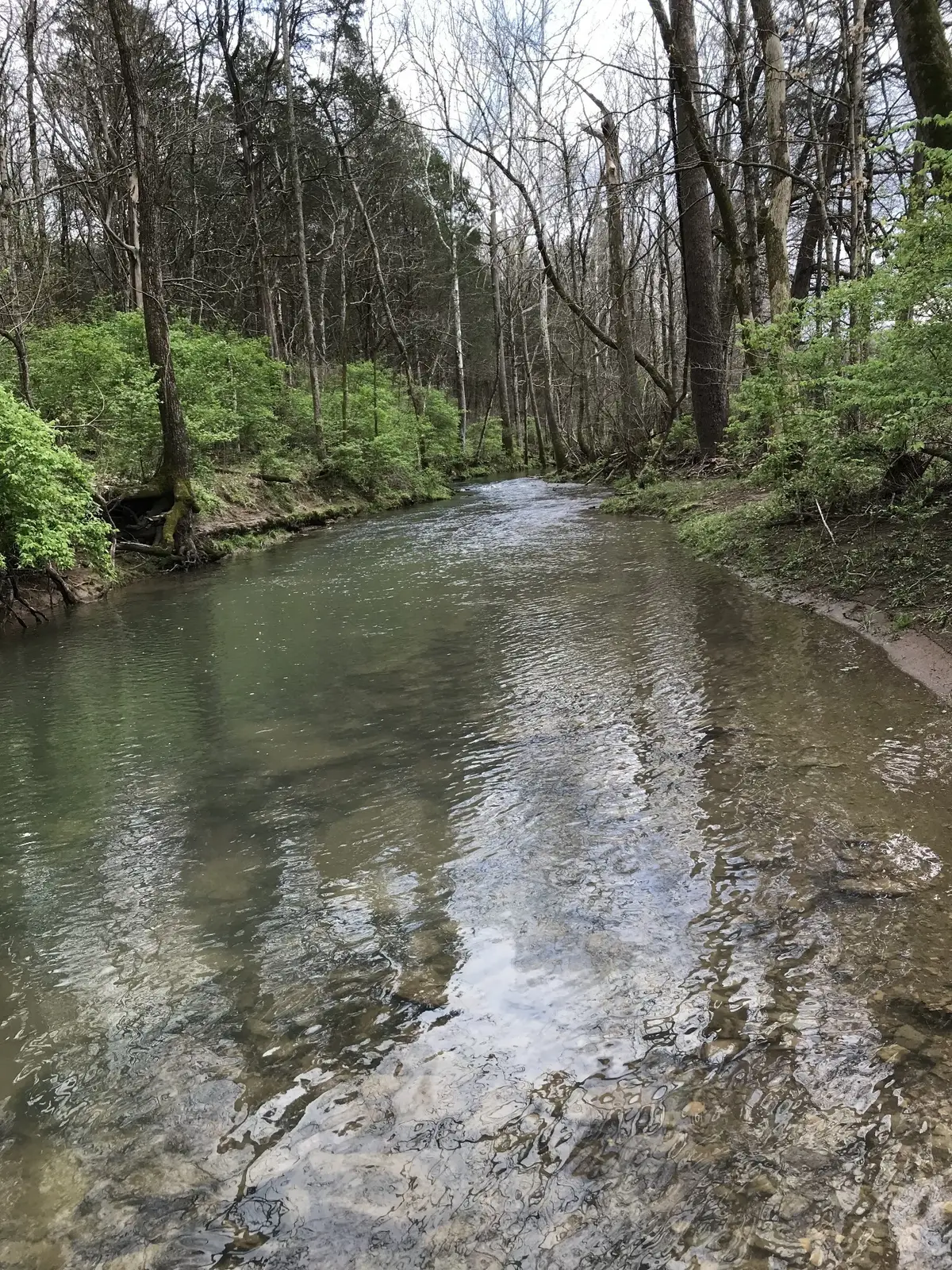 2390 Benders Ferry Rd, Mount Juliet, TN 37122 - #1