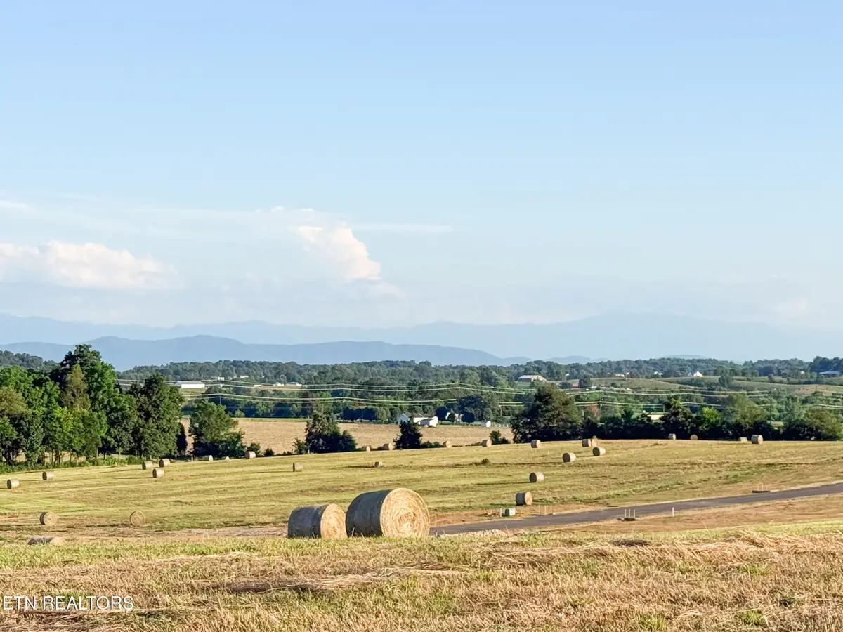 0 Lot 10 Summerset Drive, Talbott, TN 37877 - Image #1