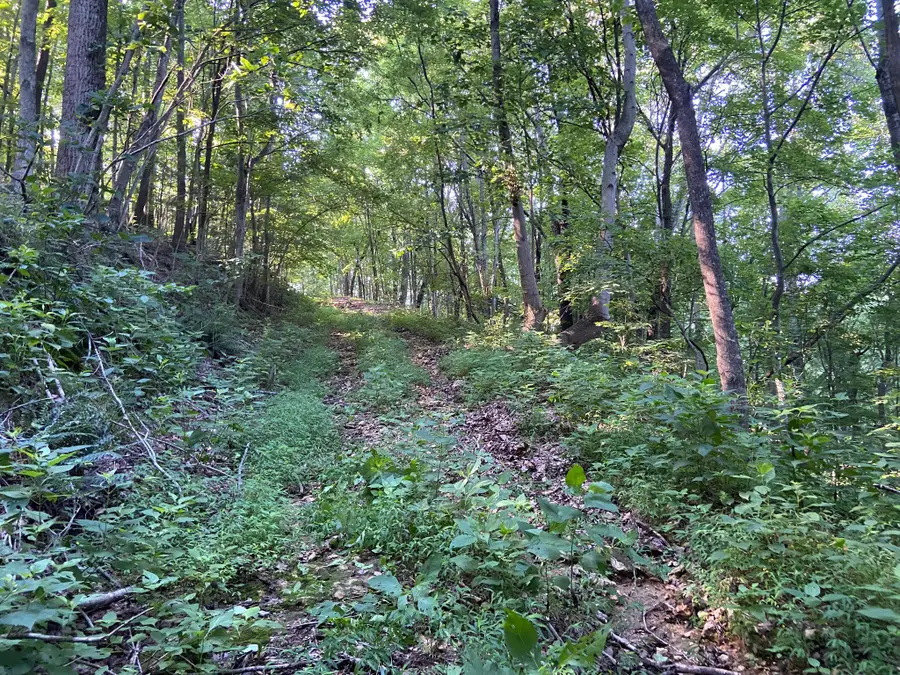 3147 Dale Ridge Rd, Dowelltown, TN 37059 - Image #3